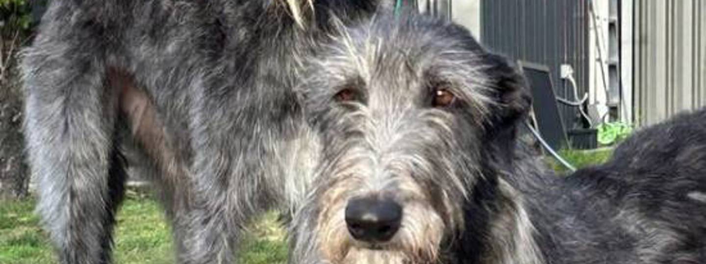 Mel From Canberra 550X550 background image