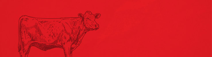 Freeze Dried Dog Treats - Beef hero image