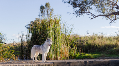 Food For All Lifestages 2140X1200