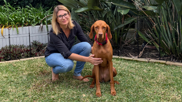 Dremeliefogelberg 630X354