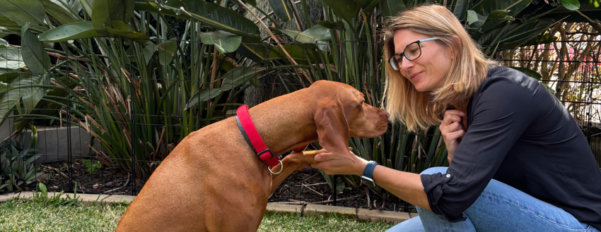 Dremeliefogelberg 1500X700