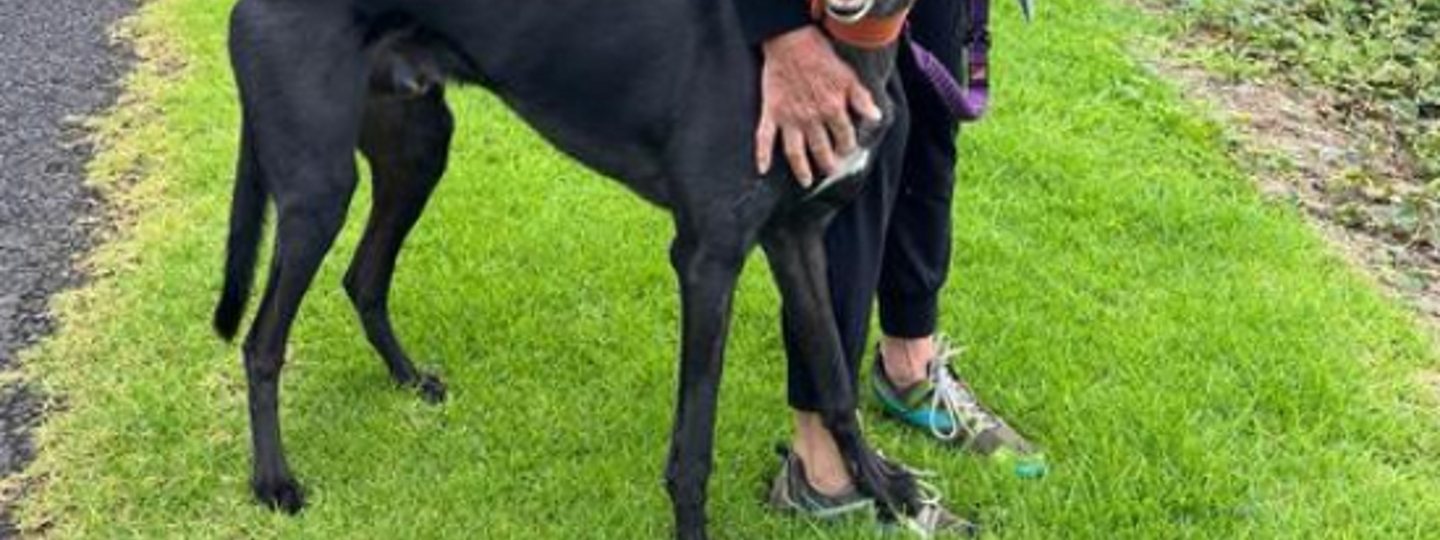 Deb From Tauranga 550X550 background image