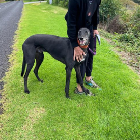 Deb From Tauranga 550X550