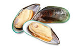 Green Lipped Mussels 245X147