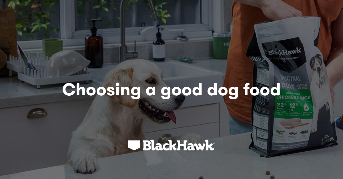 Have you chosen a good dog food? Black Hawk Black Hawk