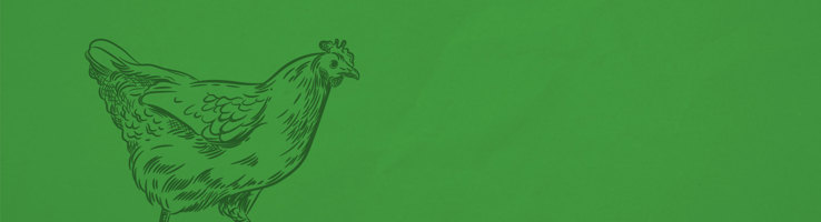 Freeze Dried Dog Treats - Chicken hero image