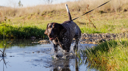 Rotational Feeding 2140X1200