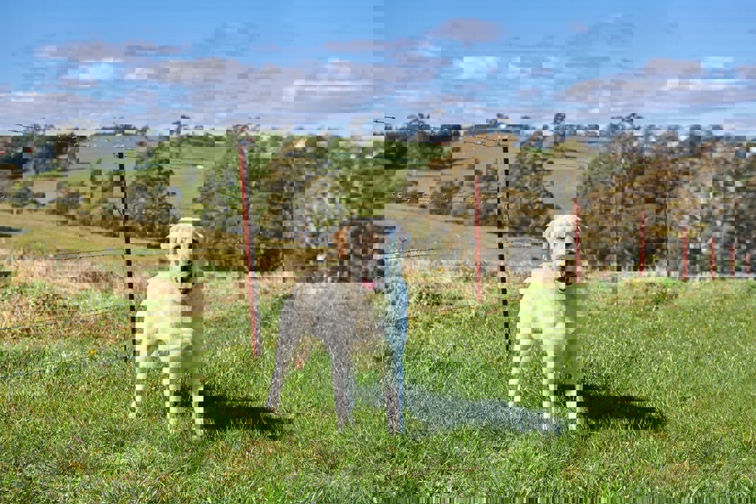 Black Hawk Healthy Benefits Weight Management 1200X800