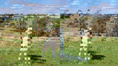 Black Hawk Healthy Benefits Weight Management 1200X800