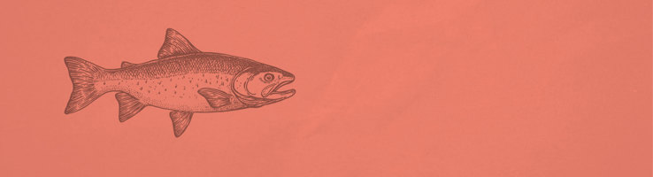 Freeze Dried Dog Treats - Salmon hero image